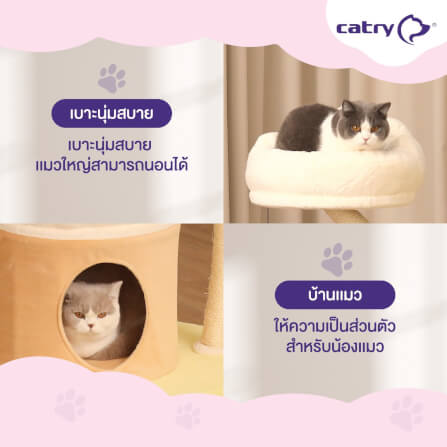 คอนโด Catry รุ่น Cat Tree Ice Cream ไซส์ M รูปทรงไอศครีม_4
